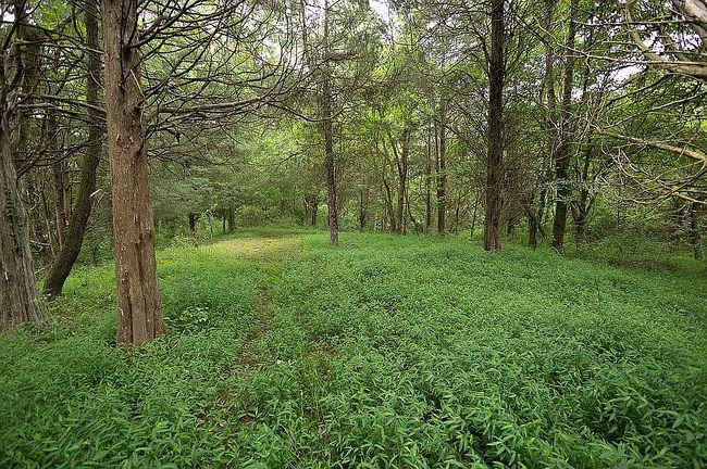 Photo of 0 Evans Run Rd