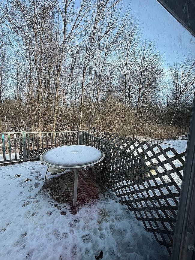 Image of 4263 Treeline Dr
