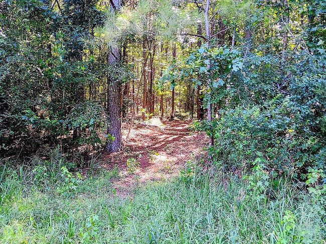 Photo of 519 Switch Rd Sw, Calhoun, GA