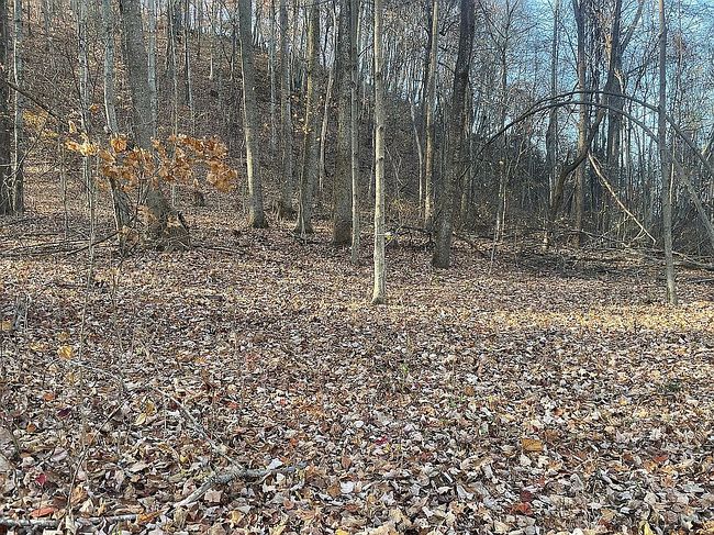Image of 710 Routt Rd