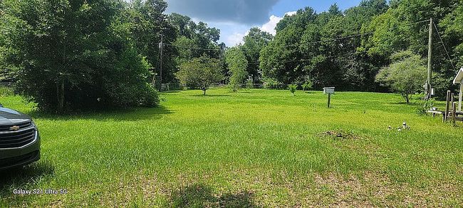Photo of 12380 Reeves Ln, Lillian, AL