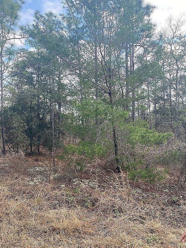 Image of Sw Buena Vista Rd
