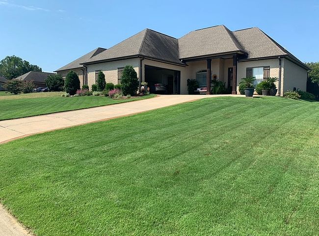 Photo of 1701 Thicket Cv, Belden, MS