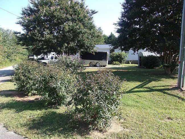 Image of 121 Red Oak Ln