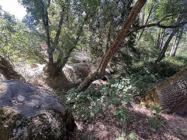 Photo of 7935 Fairplay Rd, Somerset, CA