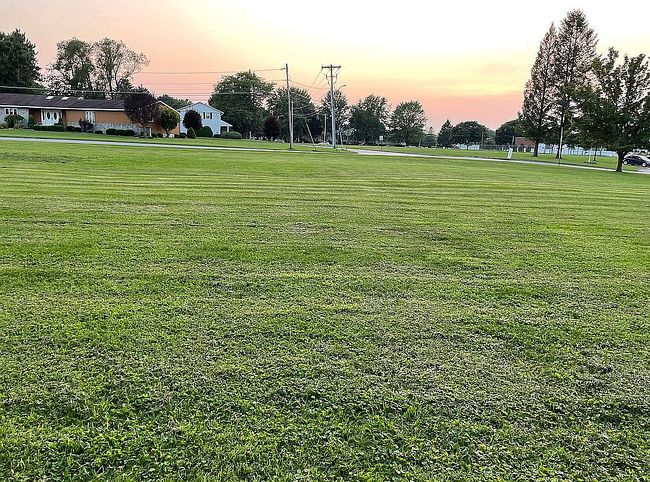 Image of Lamb Ave