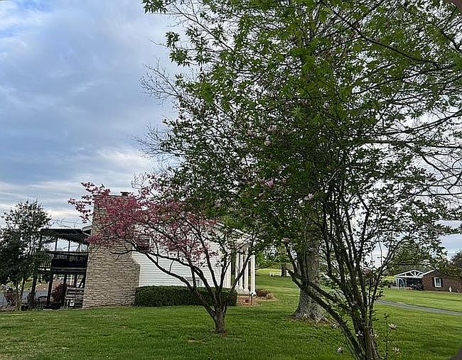 Image of 196 Green Meadows Dr