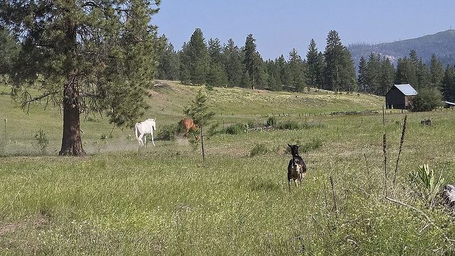 Additional photo 3 of property located at 20 End Of Road Rd