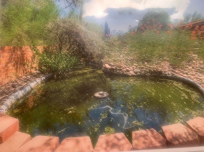 Photo of 710 W Burton Dr, Tucson, AZ
