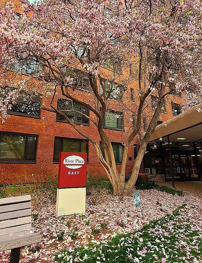 Image of 1021 Arlington Blvd Apt 330