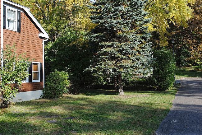 Image of 44 Perrotta Pl