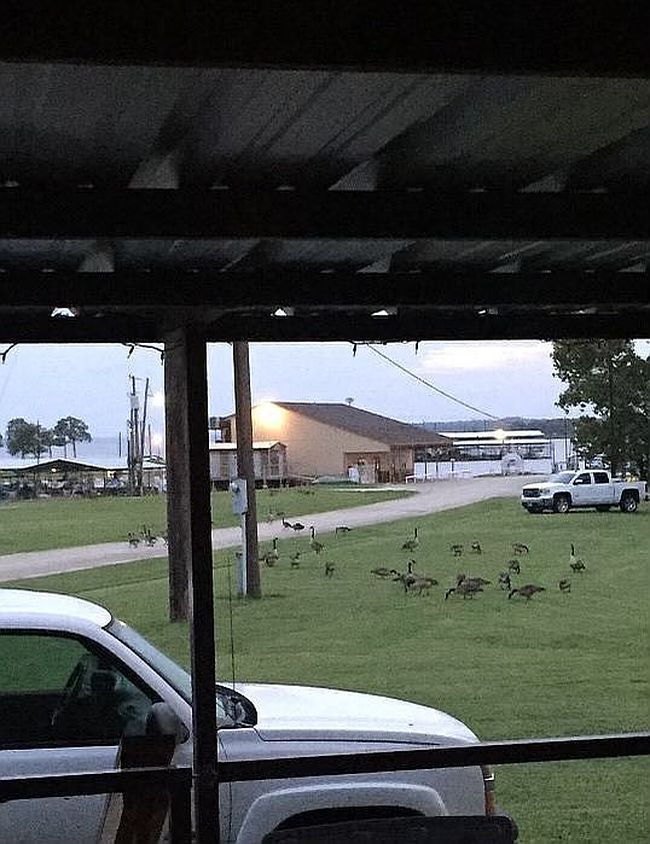 Photo of 2889 Big Mineral Rd #24, Gordonville, TX