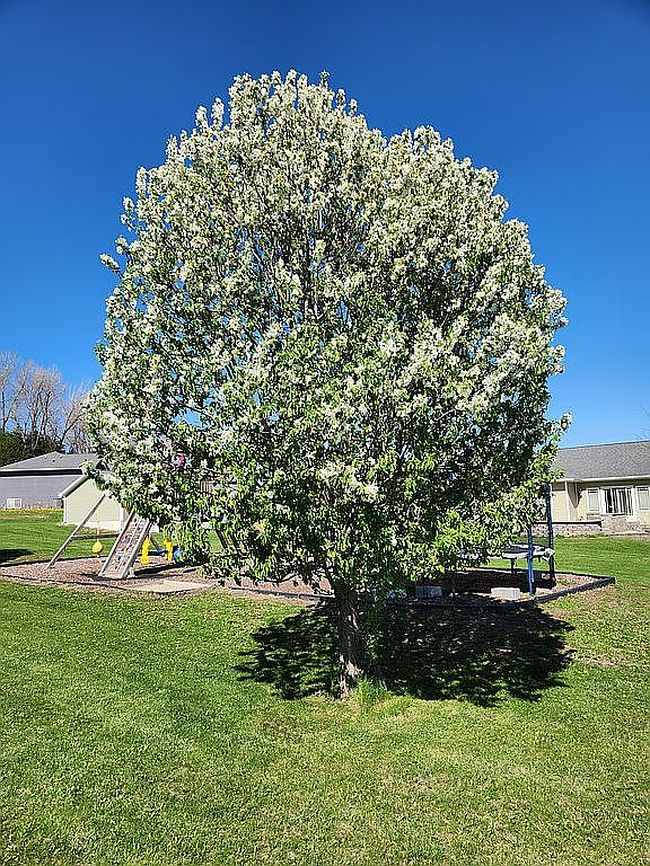 Image of 31093 Beaver Valley St