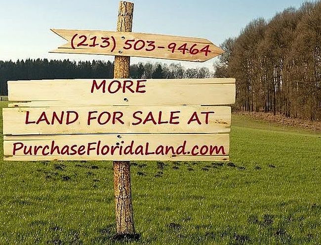 Photo of 215 Heron Rd, Satsuma, FL