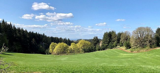 2678 Drift Creek Rd Ne, Silverton, OR