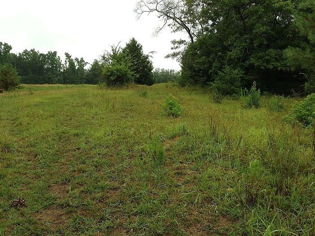 Image of 2400 Wilson Rd Nw