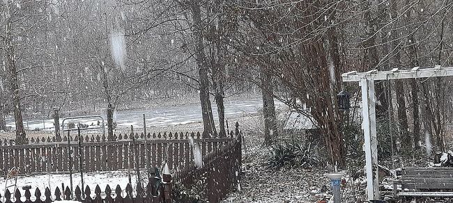 Image of 931 Toms Creek Trl