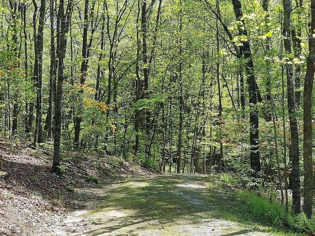 Photo of 783 Dalrymple Cir, Ellijay, GA