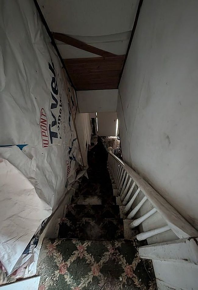 Image of 219 Peacock St