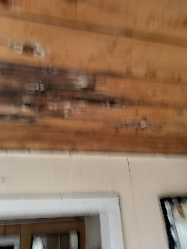 Preview of property located at 515 Mcdonald St