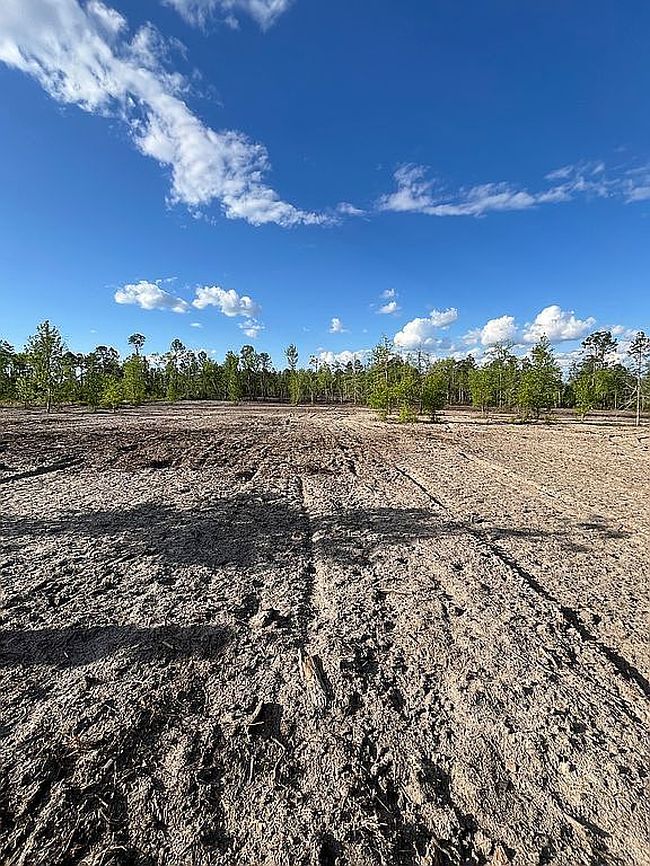 Photo of 0 Hammond Powell Rd, Hazlehurst, GA