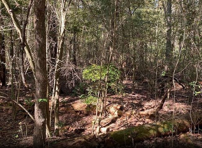 Image of Arborgrove Ln