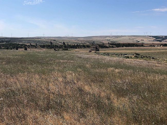 Photo of 50 Lightning Ln, Goldendale, WA