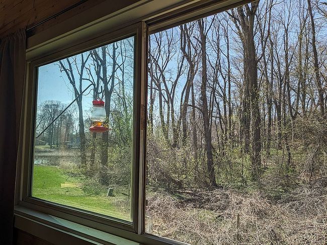 Photo of 10650 Peachtree St, Plainwell, MI