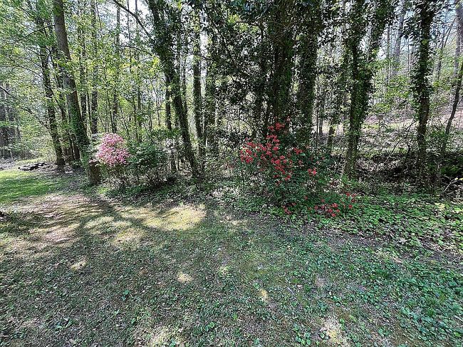 Image of 81 Shore Dr