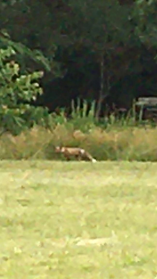 Photo of Marquis Rd, Unionville, VA