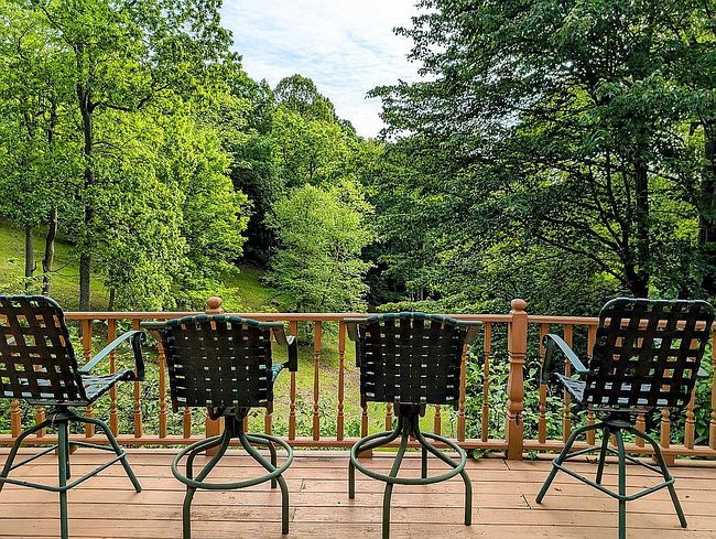 Image of 1590 Mount Alpha Rd
