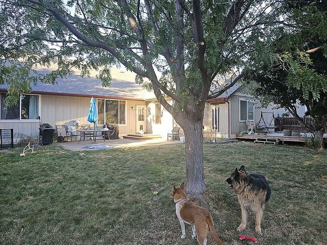 Image of 1708 E Canterbury Dr