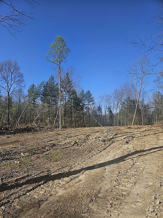 Image of 596 Rome Rd