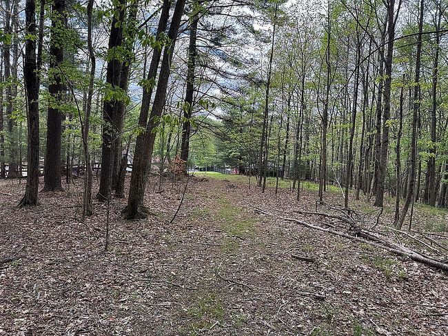 Image of 165 Hughes Rd