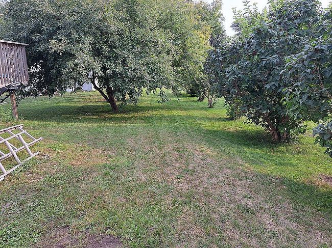 Photo of 307 W 4th St, Winthrop, MN