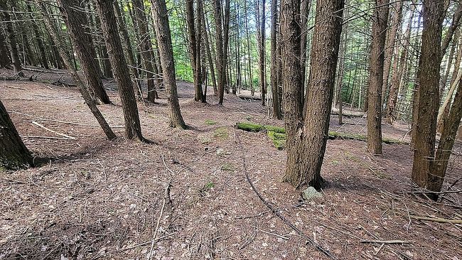 Image of 175 Close Hollow Rd