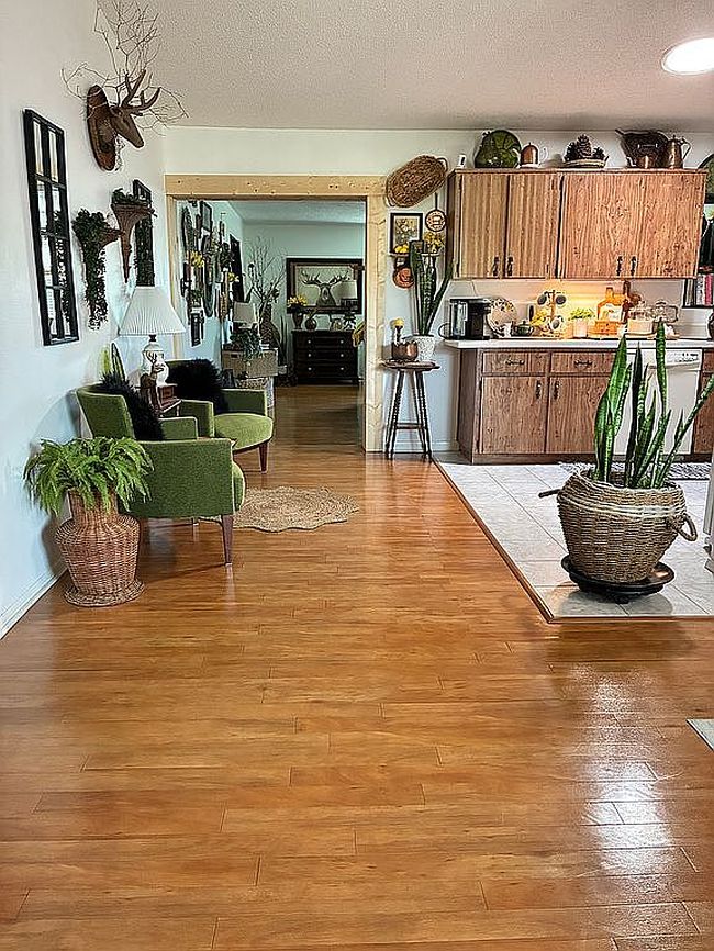 Photo of 11512 Grovewood Blvd, Land O Lakes, FL