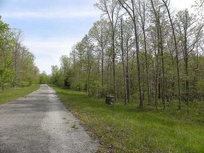 Image of 0 Holly Ln