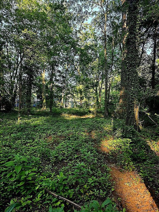 Photo of W Bell St, Statesville, NC