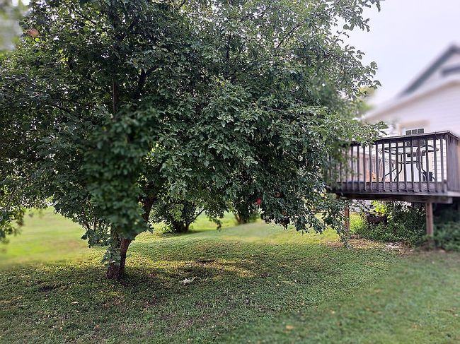 Photo of 307 W 4th St, Winthrop, MN