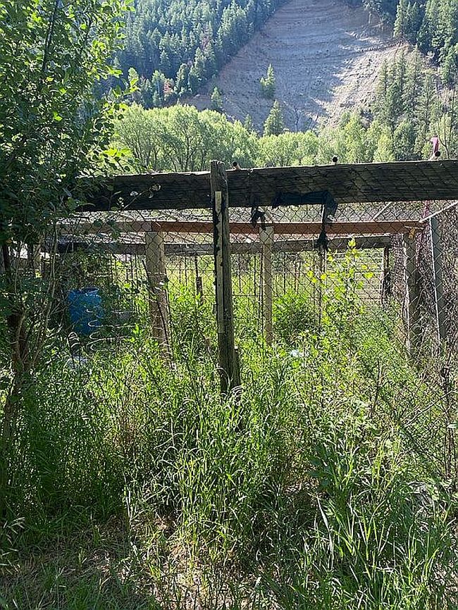 Photo of 3310 County Road 391, Pagosa Springs, CO
