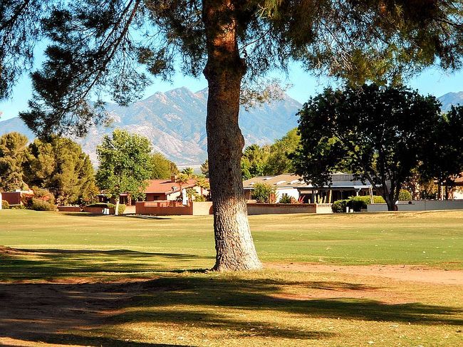 Image of 1017 N Paseo Iris