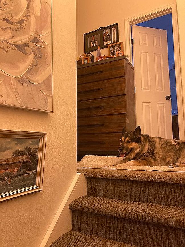 Additional photo 1 of property located at 3839 Smoke Tree Dr