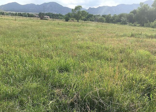 Additional photo 2 of property located at 1561 S Foothills Hwy Lot F6