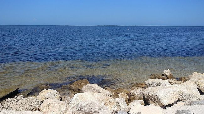 Photo of 6634 Del Prado Ter, New Port Richey, FL