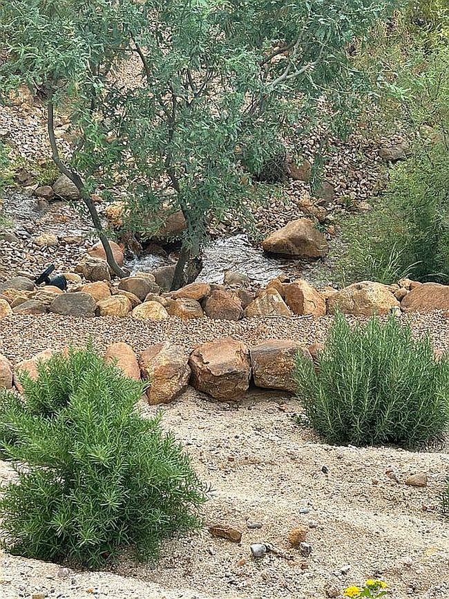 Photo of 7453 S Latigo St, Safford, AZ