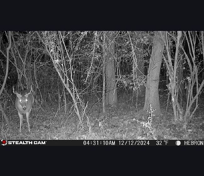Photo of 0 Clark Dr, Taylorsville, MS