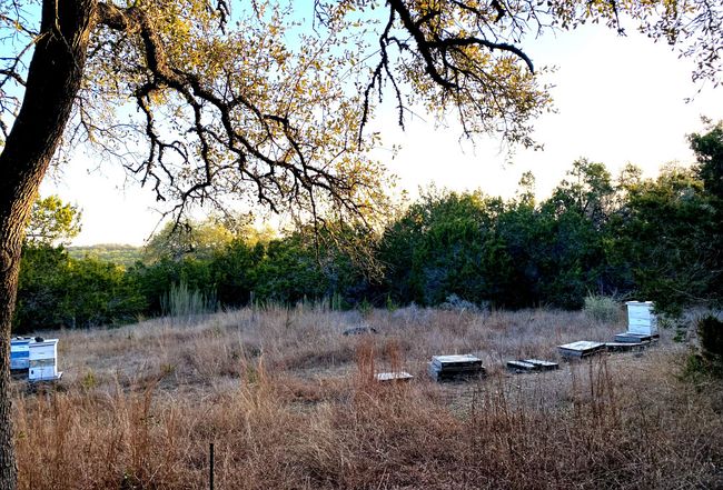 Photo of 700 Todd Lane, Driftwood, TX