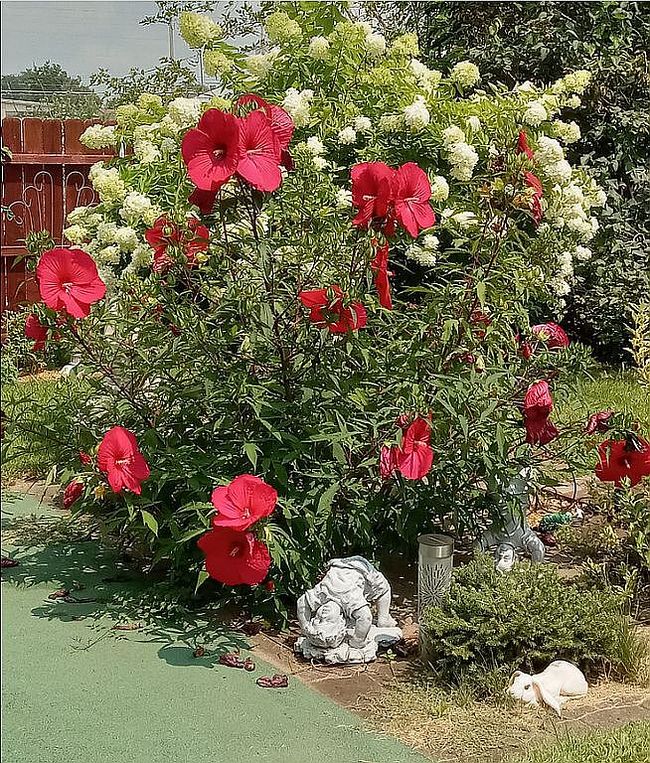 Image of 3814 Butternut Ln