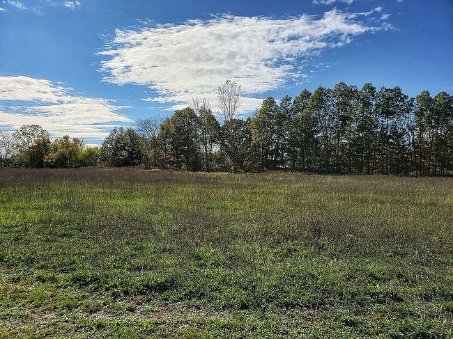 Image of 0 Chicory Ln Lot# 29